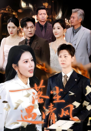 离婚而已短剧（74集家庭短剧在线畅看全集）