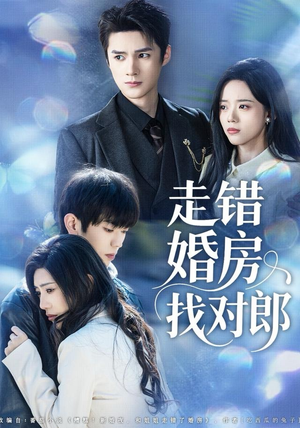 走错婚房找对郎短剧（50集婚恋短剧在线高清观看）