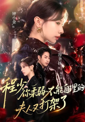 程少你柔弱不能自理的夫人又打架了短剧（60集甜宠短剧高清版在线免费观）