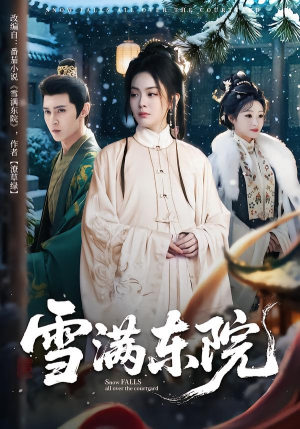 雪满东院短剧（60集权谋短剧完整版免费看）