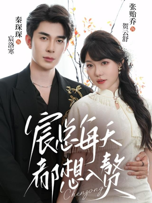 宸总每天都想入赘短剧（65集豪门恩怨短剧免费看全集）