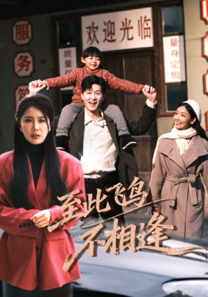 至此飞鸟不相逢短剧（70集悲情短剧在线看全集高清）