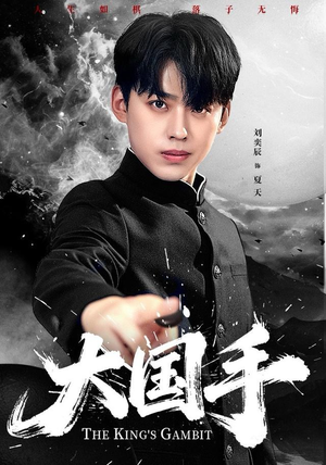 大国手短剧（76集国手风云短剧超清画质免费看）