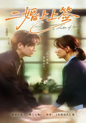二婚上上签短剧（71集情感纠葛短剧全集免费播放）