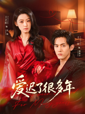 爱迟了很多年短剧（73集情感短剧全集视频免费观）