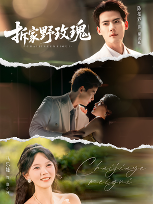 拆家野玫瑰短剧（80集情感纠葛短剧免费在线观看）