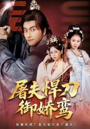 屠夫悍刀御娇鸾短剧（81集武侠短剧免费观看全集）