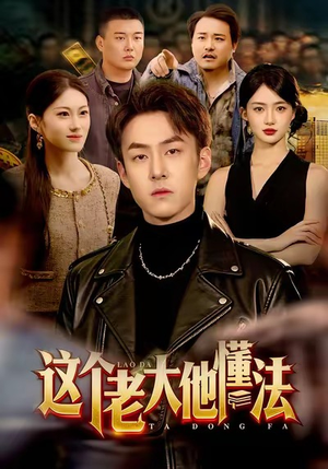 这个老大他懂法短剧（100集法治短剧免费高清在线看全集）