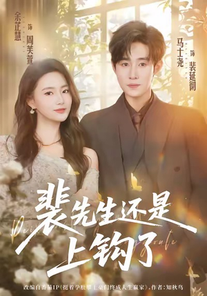 裴先生还是上钩了短剧（62集都市情感短剧免费观看全集）