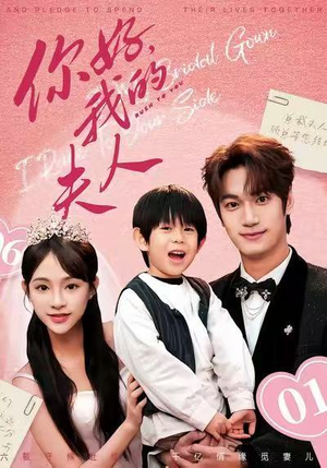 你好，我的夫人短剧（65集浪漫短剧在线高清观看）