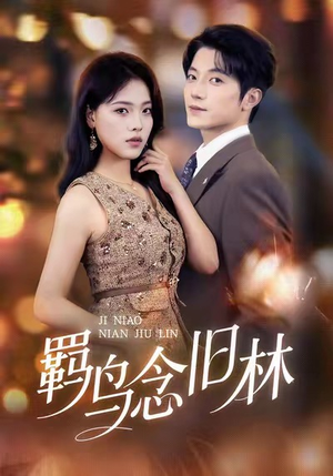 羁鸟念旧林短剧（60集爱情短剧在线免费看）