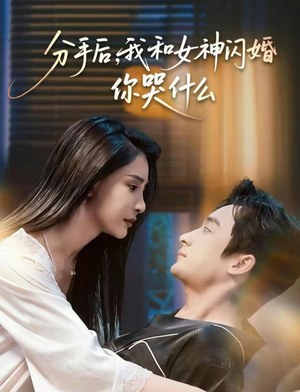 分手后，我和女神闪婚你哭什么短剧（80集都市爱情短剧在线畅看全集）