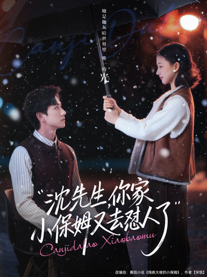 沈先生，你家小保姆又去怼人了短剧（82集都市轻喜剧短剧高清在线看）