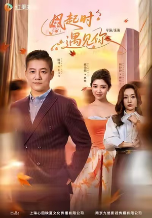 风起时遇见你短剧（59集温情短剧高清视频免费看）