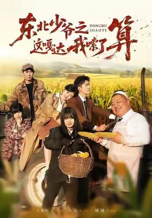 东北少爷之这嘎达我嗦了算短剧（46集东北喜剧短剧高清全集免费看）