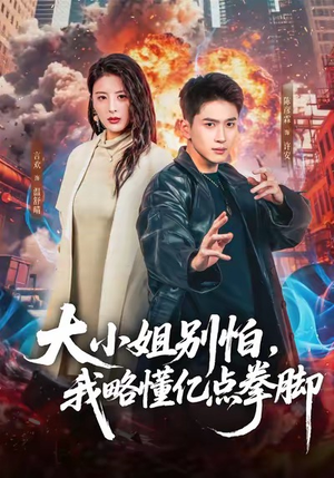 大小姐别怕，我略懂亿点拳脚短剧（67集都市功夫短剧在线看全集）