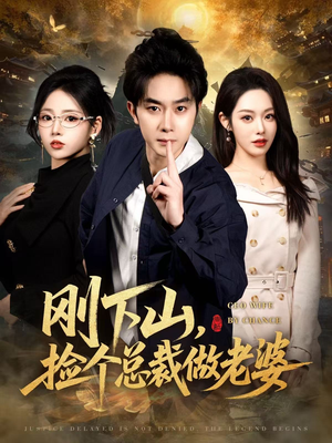 刚下山捡个总裁做老婆短剧（80集都市奇幻短剧高清全集免费看）