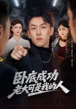 卧底成功老大可是我的人短剧（99集警匪短剧超清完整版看个够）