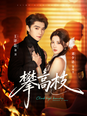 攀高枝短剧（70集情感纠葛短剧全集在线播放）