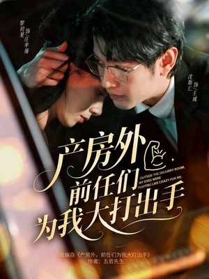 产房外，前任们为我大打出手短剧（79集情感短剧免费看完整版）