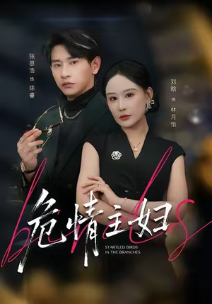 危情主妇短剧（60集家庭伦理短剧免费在线看全集）