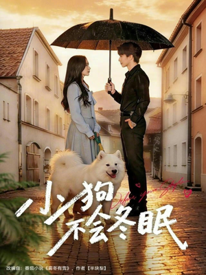 小狗不会冬眠短剧（70集暖心短剧全集高清在线看）