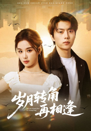 岁月转角再相逢短剧（80集情感短剧免费高清全集看）