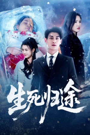 生死归途短剧（50集战争短剧全集高清观看）