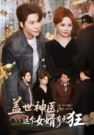 盖世神医，这个女婿有点狂短剧（81集都市狂婿短剧视频在线免费看）