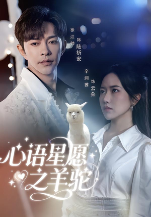 心语星愿之羊驼短剧（60集奇幻短剧在线观看完整版）