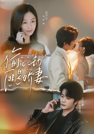 偷心劫匪是娇妻短剧（61集都市爱情短剧全集在线看）