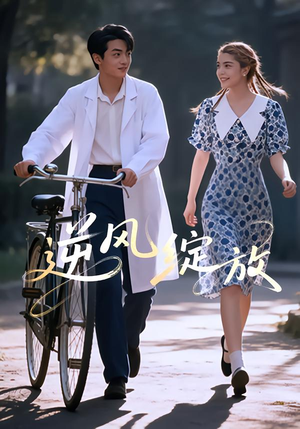 逆风绽放短剧（55集励志短剧全集免费在线看）