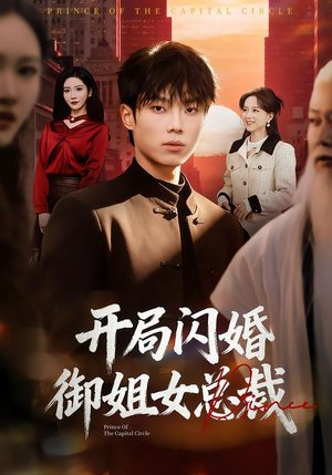 开局闪婚御姐女总裁短剧（62集现代都市短剧全集高清在线）