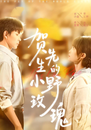 贺先生的小野玫瑰短剧（99集都市甜宠短剧高清免费看全集）
