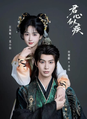 君心似疾短剧（80集古风短剧免费在线看无广告）