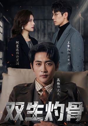 双生灼骨短剧（60集甜宠短剧免费在线看全集）