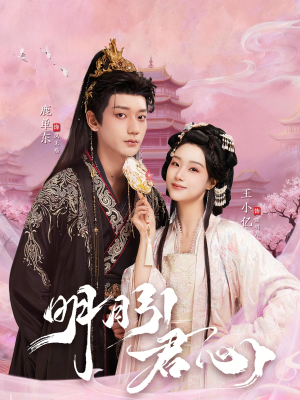 明月引君心短剧（74集古装短剧在线免费看全集）