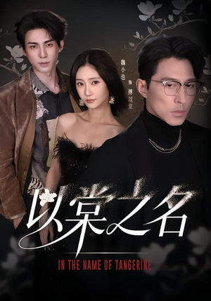 以棠之名短剧（66集古风短剧在线观看无广告）