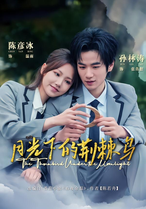 月光下的荆棘鸟短剧（80集都市爱情短剧全集免费观看）