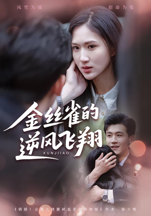 金丝雀的逆风飞翔短剧（80集情感励志短剧高清在线观看）