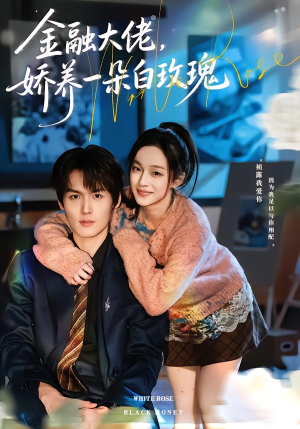 金融大佬，娇养一朵白玫瑰短剧（70集商战短剧超清全集在线看）