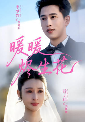 暖暖烬生花短剧（65集浪漫短剧全集高清在线看）