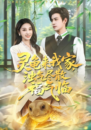 灵龟来我家，浊气尽散福气临短剧（78集灵异风水短剧在线看全集）