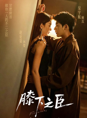 膝下之臣短剧（56集权争短剧高清在线免费看）