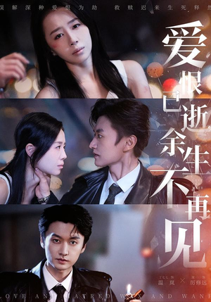 爱恨已逝，余生不再见短剧（68集爱情悲歌短剧在线免费看）