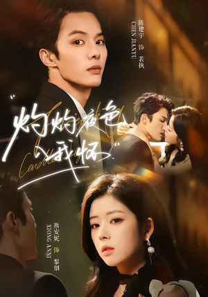 灼灼夜色入我怀短剧（60集都市爱情短剧免费看全集无删减）