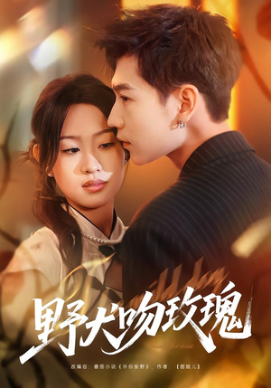 野犬吻玫瑰短剧（70集情感类短剧全集免费观看）