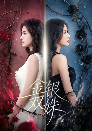 金银双姝短剧（80集宫廷短剧全集高清在线看）