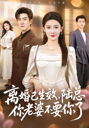 离婚已生效，陆总你老婆不要你了短剧（61集都市短剧完整版免费看）