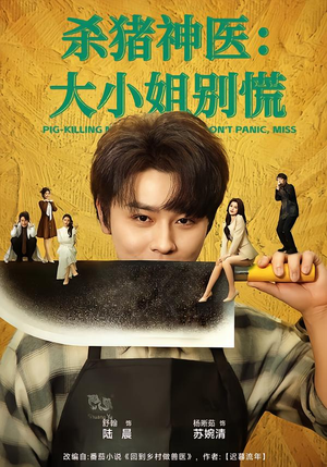 杀猪神医，大小姐别慌短剧（80集爱情短剧免费看全集）